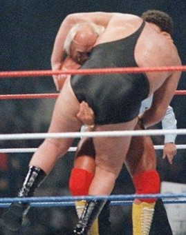 hulk hogan and andre the giant
